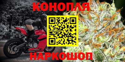 прущая мука Кингисепп