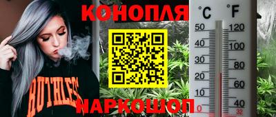 скорость Кимры