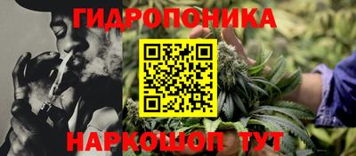 прущая мука Кингисепп