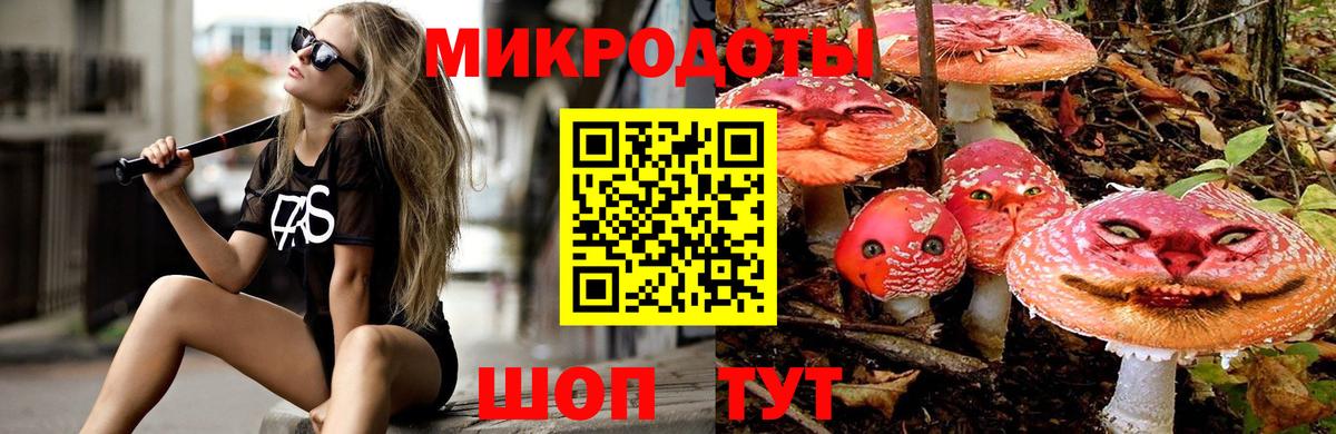Псилоцибиновые грибы Cubensis  продажа наркотиков  Энгельс  Вход с VPN 